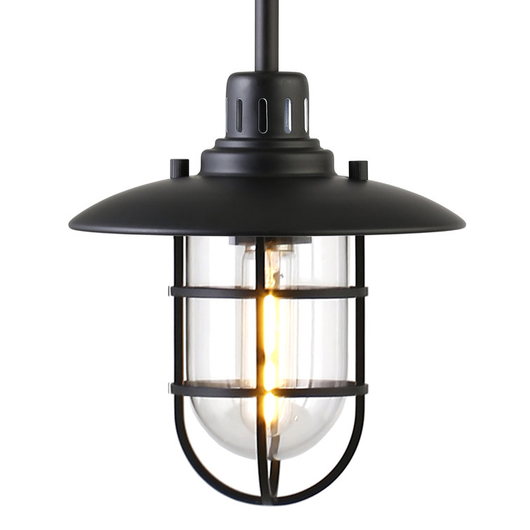 Bay Blackened Bronze Globe Pendant Light with Clear Glass Shade