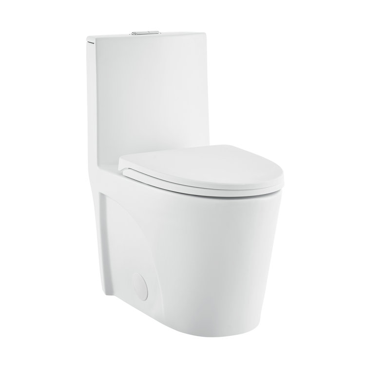 Matte White One-Piece Elongated Dual-Flush Toilet