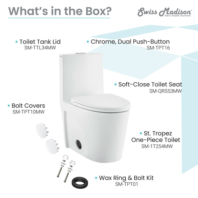 Matte White One-Piece Elongated Dual-Flush Toilet