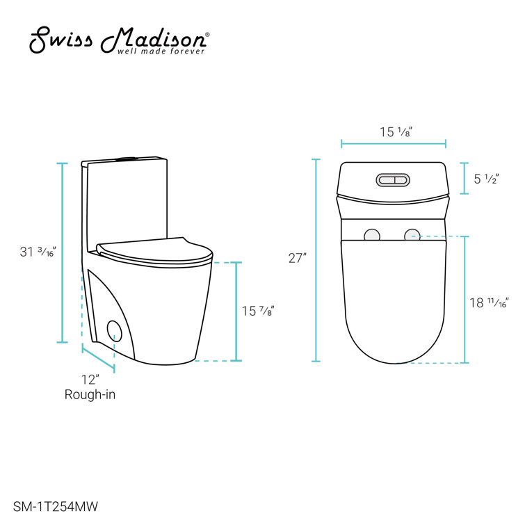 Matte White One-Piece Elongated Dual-Flush Toilet