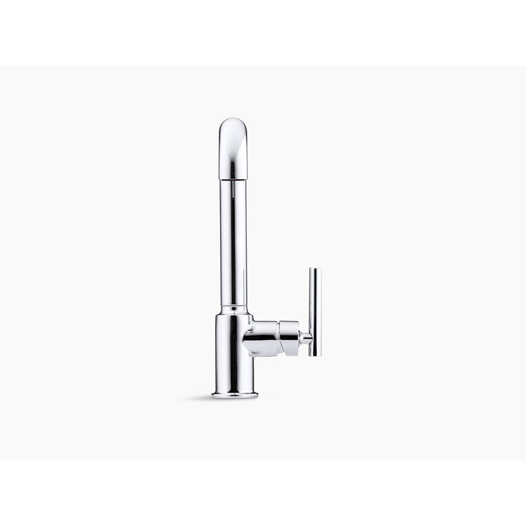 Polished Chrome Pull-Out Kitchen Faucet with Spray