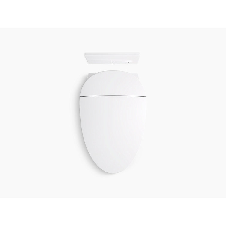 White Wall-Mounted Dual Flush High Efficiency Toilet