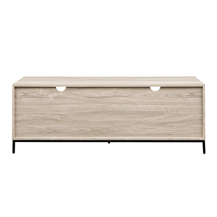 Birch 58" Modern 2-Drawer TV Stand with Black Hardware