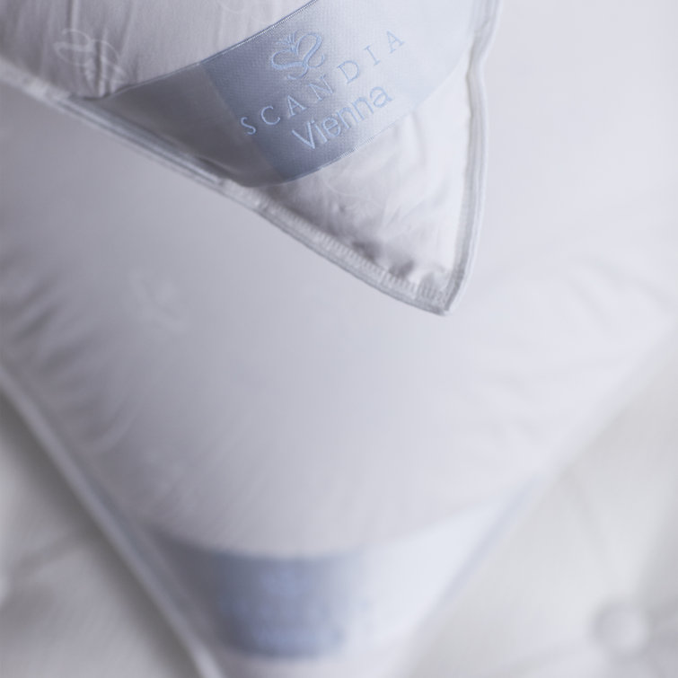 Standard White Cotton Hypoallergenic Medium Density Pillow