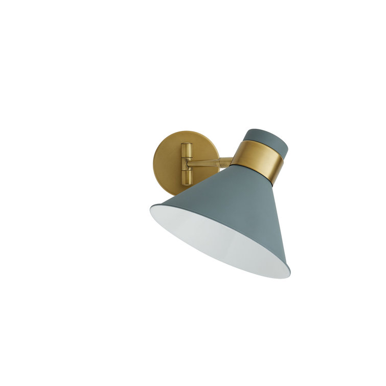 Lane 1-Light Antique Brass and Cadet Blue Pivot Spotlight