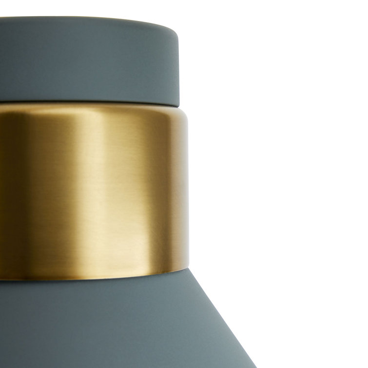 Lane 1-Light Antique Brass and Cadet Blue Pivot Spotlight