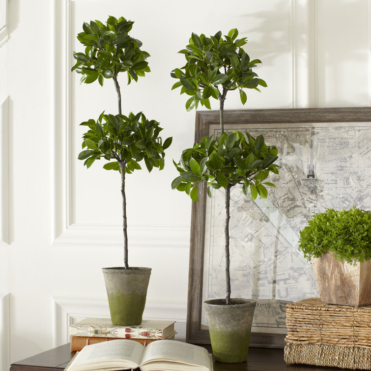 Mini Green Plastic Boxwood Topiary in Pot