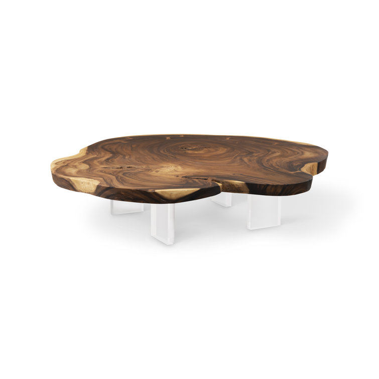 Transitional Chamcha Wood Coffee Table with Acrylic Legs, 55"