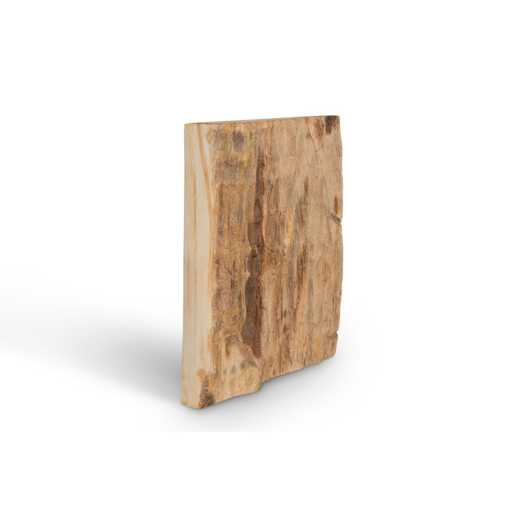 18'' Square Brown Cast Petrified Wood Wall Tile in Resin