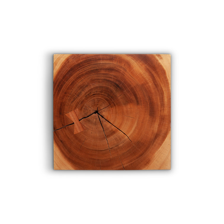 Natural Chamcha Wood Twist Accent Stool