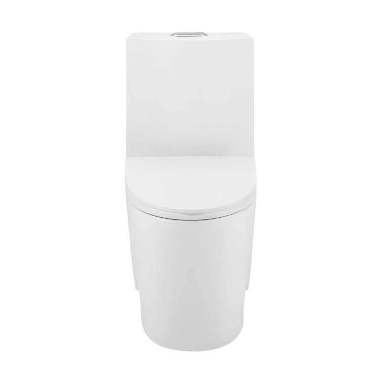 Glossy White Ceramic Dual Flush Elongated One-Piece Toilet