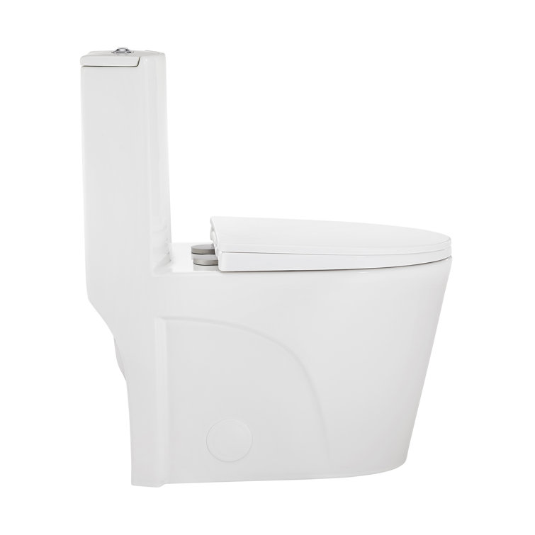 Glossy White Ceramic Dual Flush Elongated One-Piece Toilet