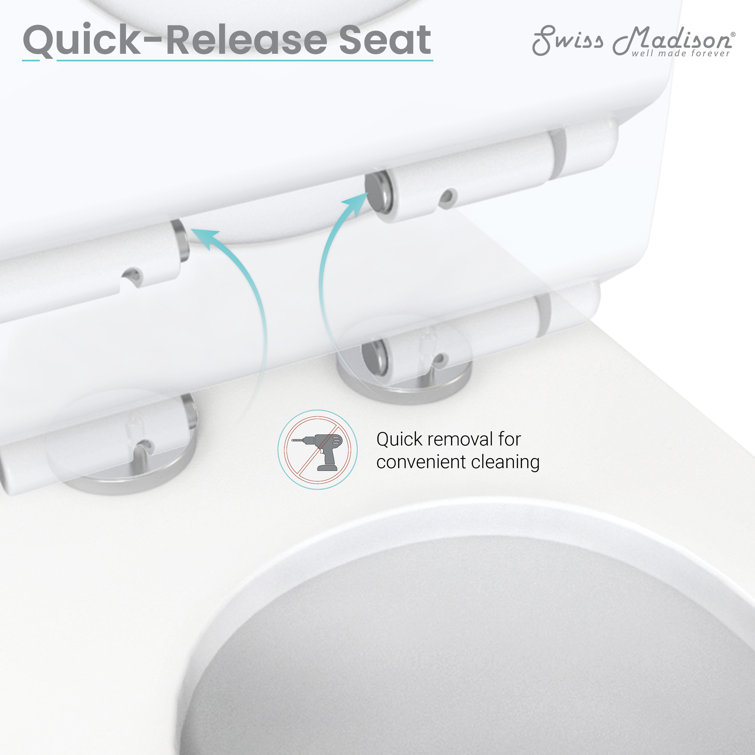 Manoir Glossy White Ceramic Dual-Flush Elongated One-Piece Toilet