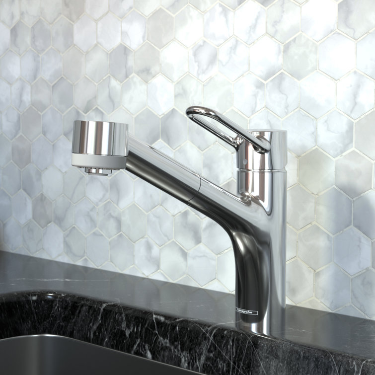 Chrome Single-Handle Pull-Out Kitchen Faucet with Brass Loop Handle