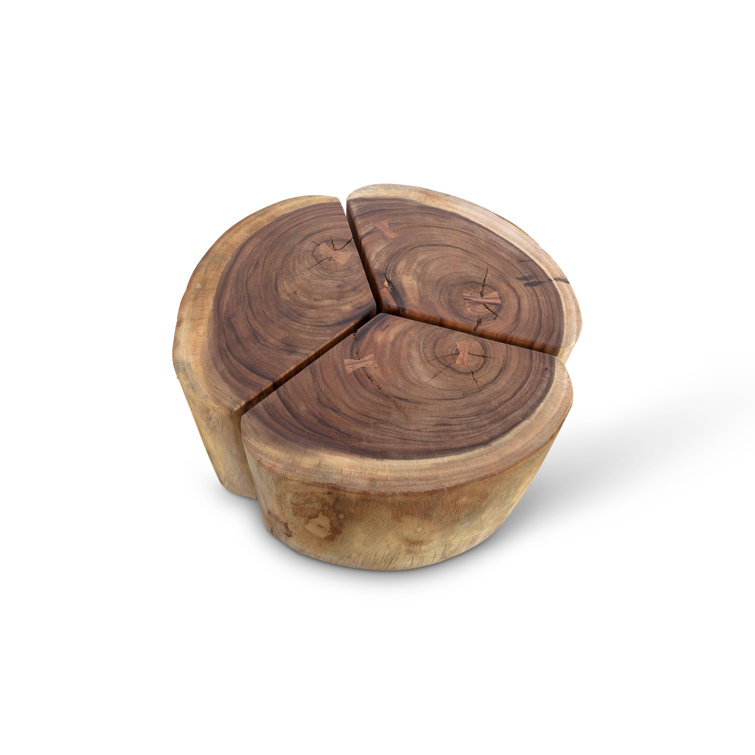 Clover Chamcha Wood Coffee Table with Black Metal Base
