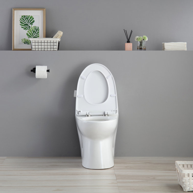 White High Efficiency Dual Flush One-Piece Elongated Toilet