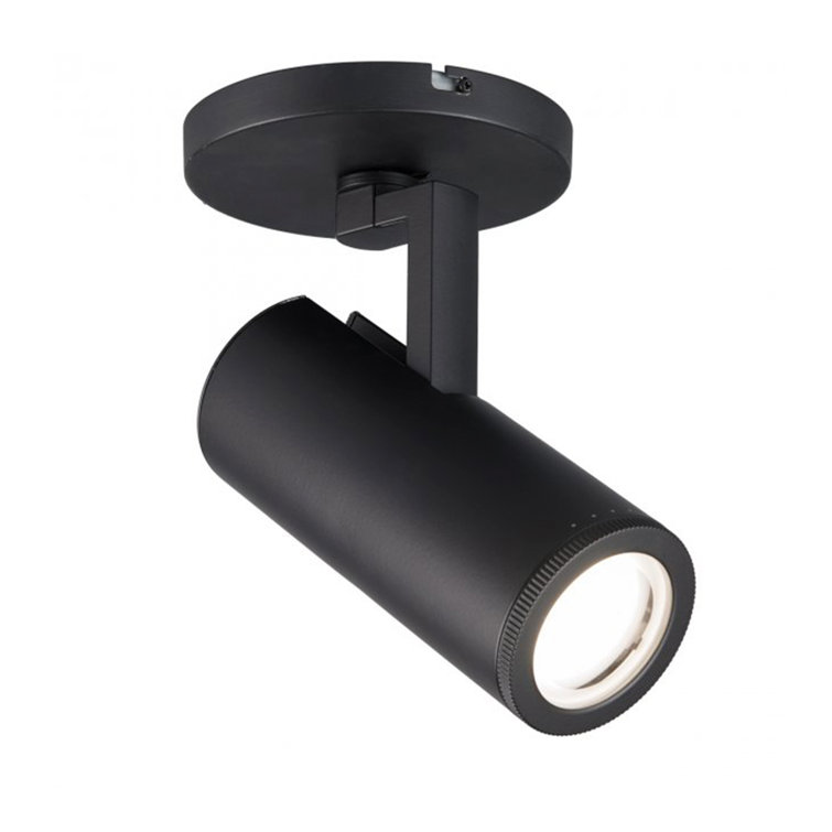 Paloma Adjustable Beam Black LED Track Lighting Head, 3000K