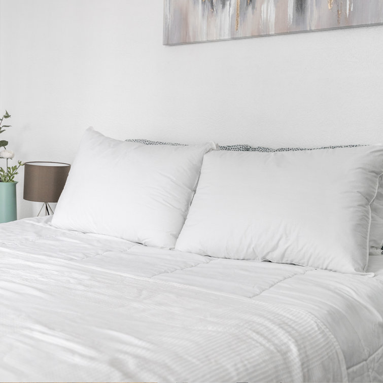 Standard Queen White Cotton Fresh Hypoallergenic Pillow