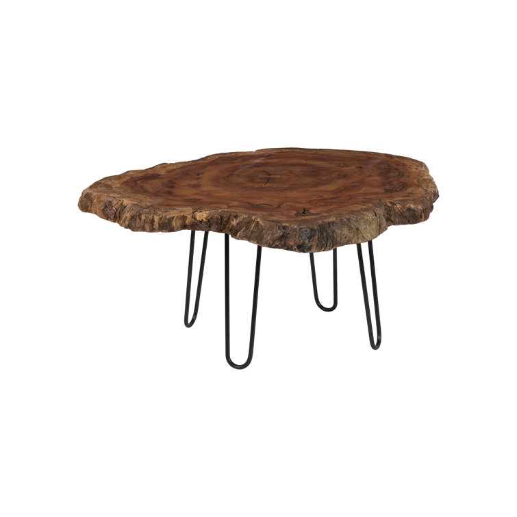 Natural Wood Slice Coffee Table with Iron Legs