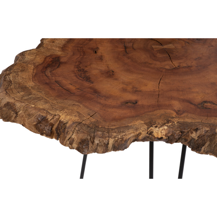 Natural Wood Slice Coffee Table with Iron Legs