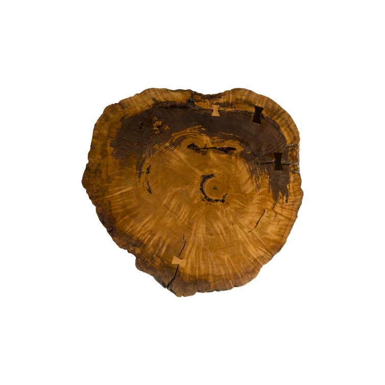 Natural Wood Slice Coffee Table with Iron Legs