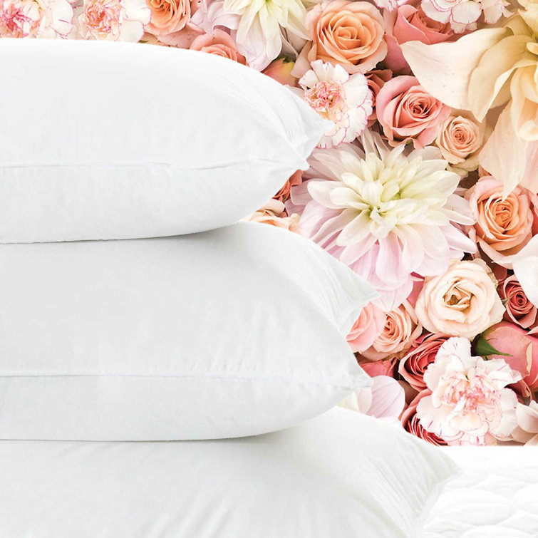 Queen Size White Organic Cotton Feather Down Pillow