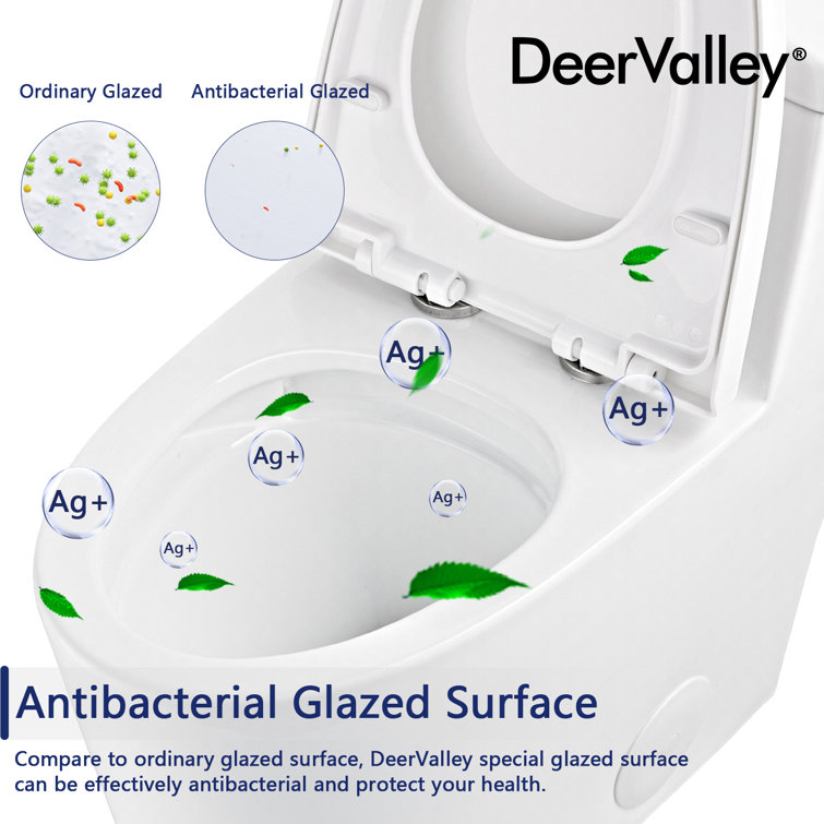White Elongated Dual-Flush One-Piece Toilet with Silver Button
