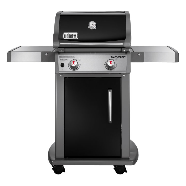 Black Stainless Steel 2-Burner Propane Gas Grill with Rotisserie