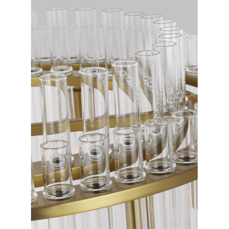 Beckett Burnished Brass 12-Light Drum Chandelier with Clear Glass Shades