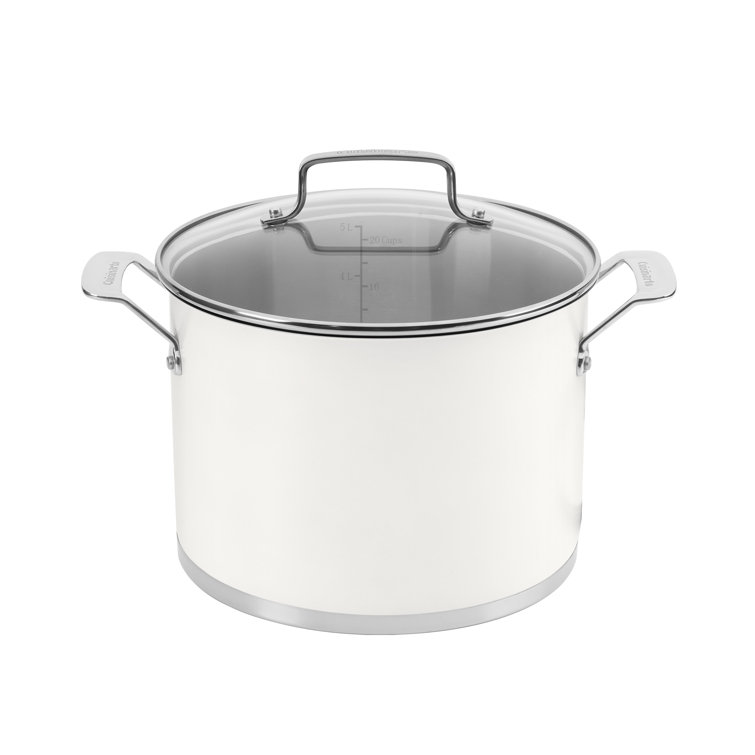 Matte White 6 Qt Stainless Steel Stockpot with Glass Lid