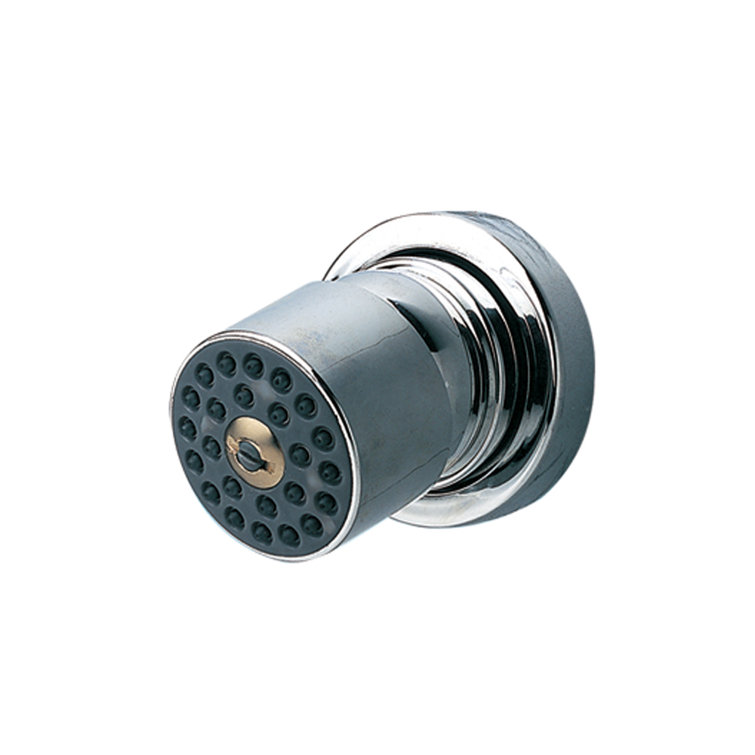 Polished Chrome Single Body Spray with 24 Jets