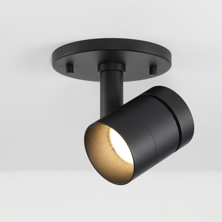 Black Adjustable LED Flush Mount Spotlight with Aluminum Shade