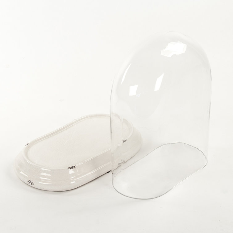Distressed Crackle White Ceramic Base Glass Terrarium, 17.75"H