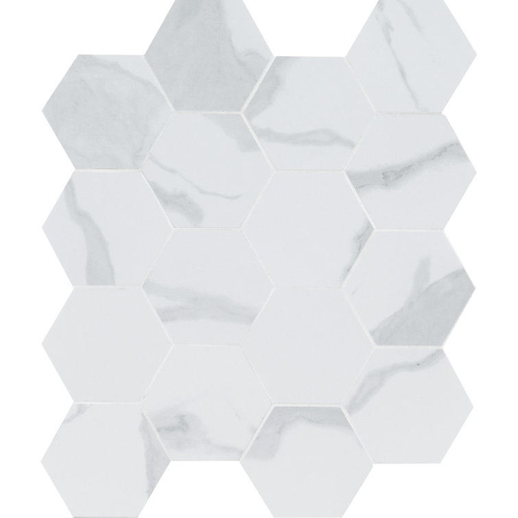 Eden Statuary Matte Porcelain Hexagon Mosaic Tile 6x6