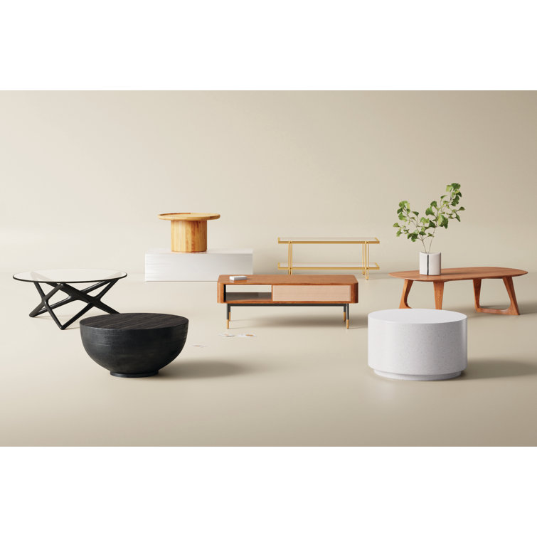 Modern Brass Finish Rectangular Coffee Table with Glass Storage Shelf
