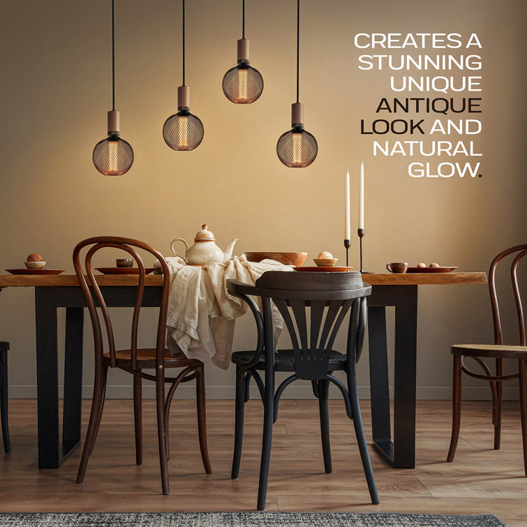 Warm Black Globe LED Bulb with Metal Cage