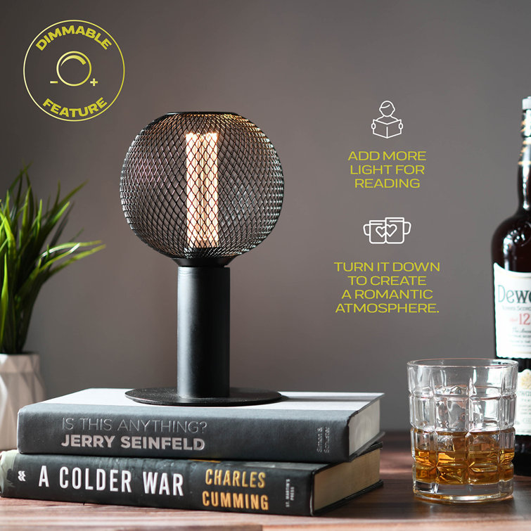 Warm Black Globe LED Bulb with Metal Cage