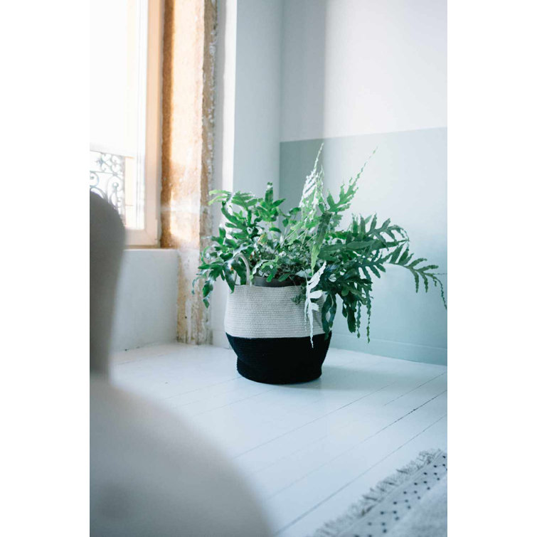 Zoco Black-Natural Round Fabric General Storage Basket