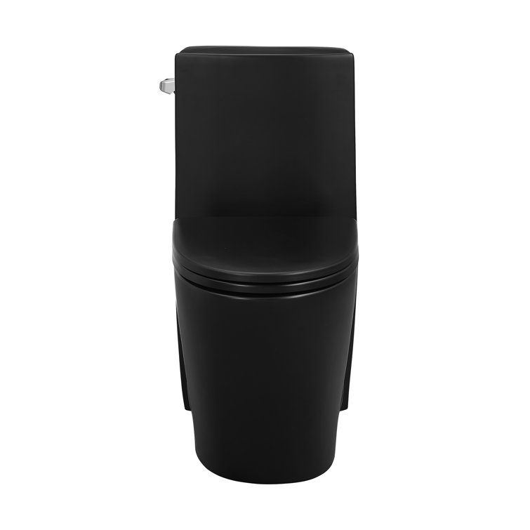 Matte Black High Efficiency One-Piece Elongated Toilet