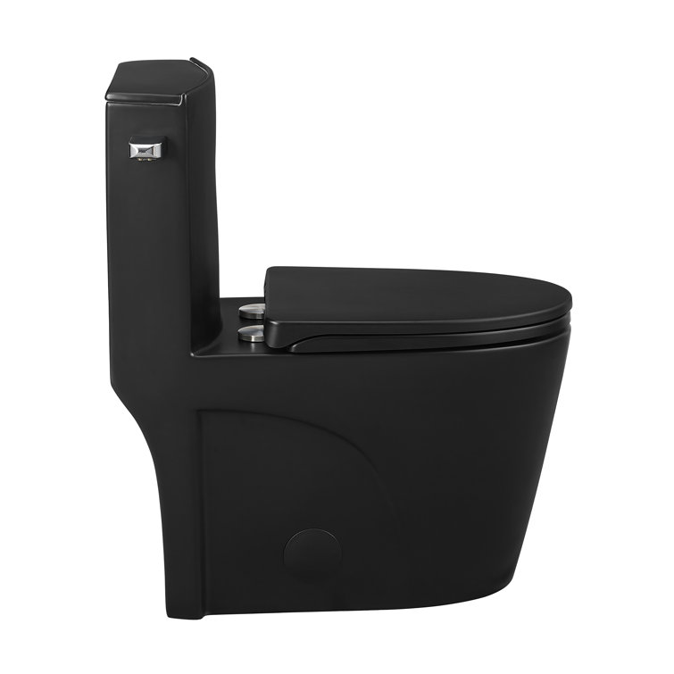 Matte Black High Efficiency One-Piece Elongated Toilet