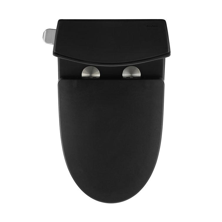Matte Black High Efficiency One-Piece Elongated Toilet