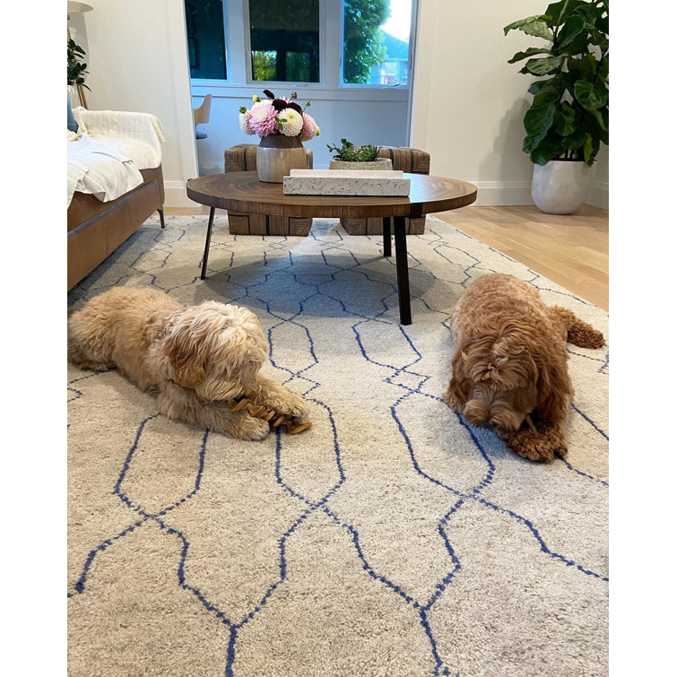 Indigo Ivory Geometric Hand-Knotted Wool Blend Rug