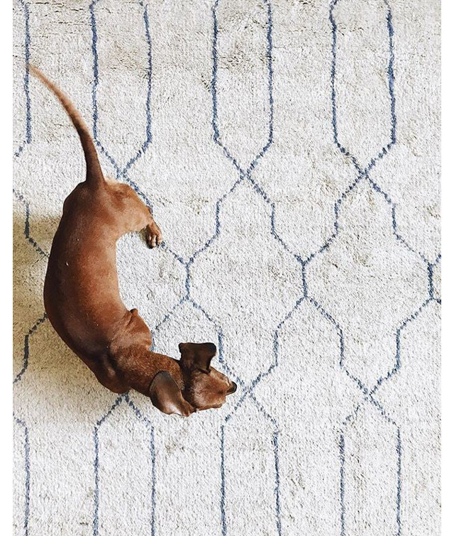 Indigo Ivory Geometric Hand-Knotted Wool Blend Rug