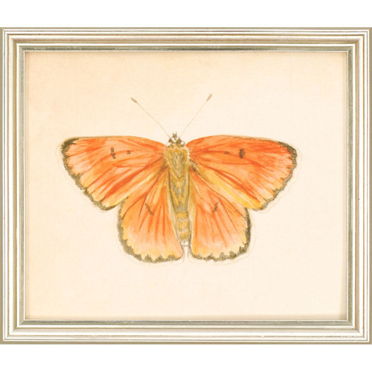 Set of 6 Butterfly Prints on Canvas with Silver Frames