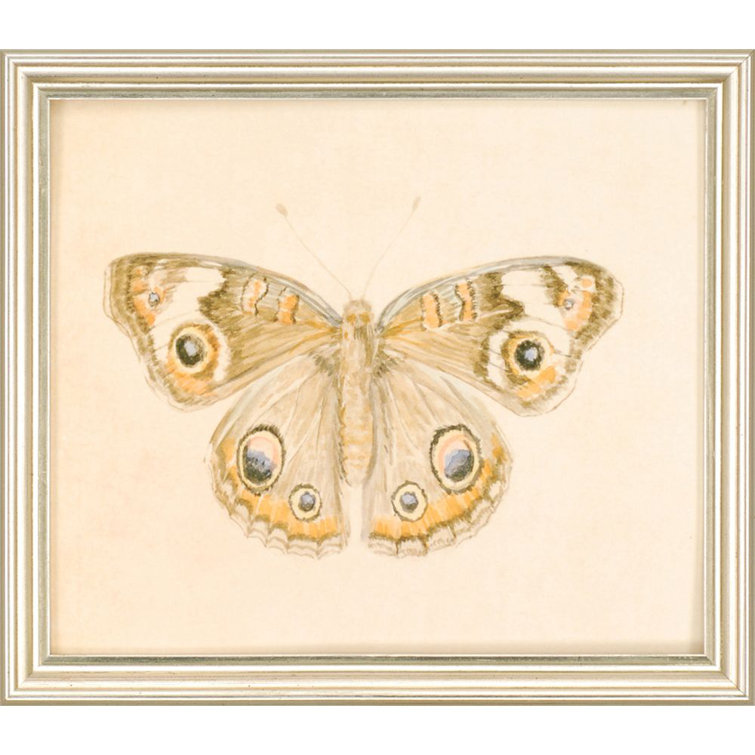 Set of 6 Butterfly Prints on Canvas with Silver Frames