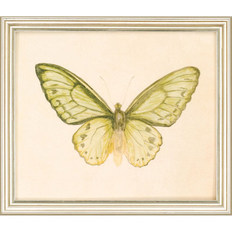 Set of 6 Butterfly Prints on Canvas with Silver Frames