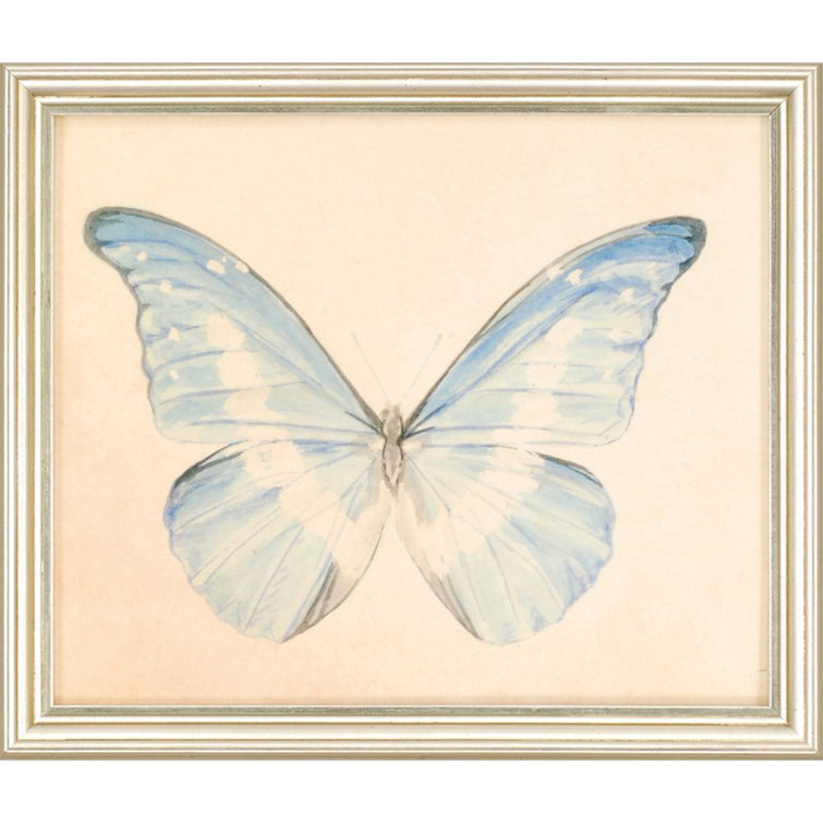 Set of 6 Butterfly Prints on Canvas with Silver Frames