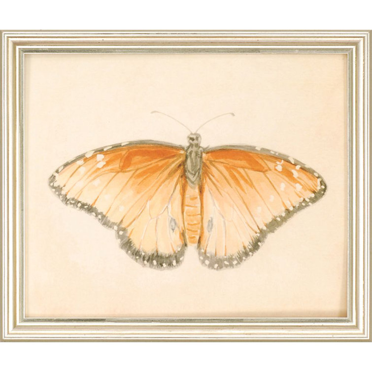 Set of 6 Butterfly Prints on Canvas with Silver Frames