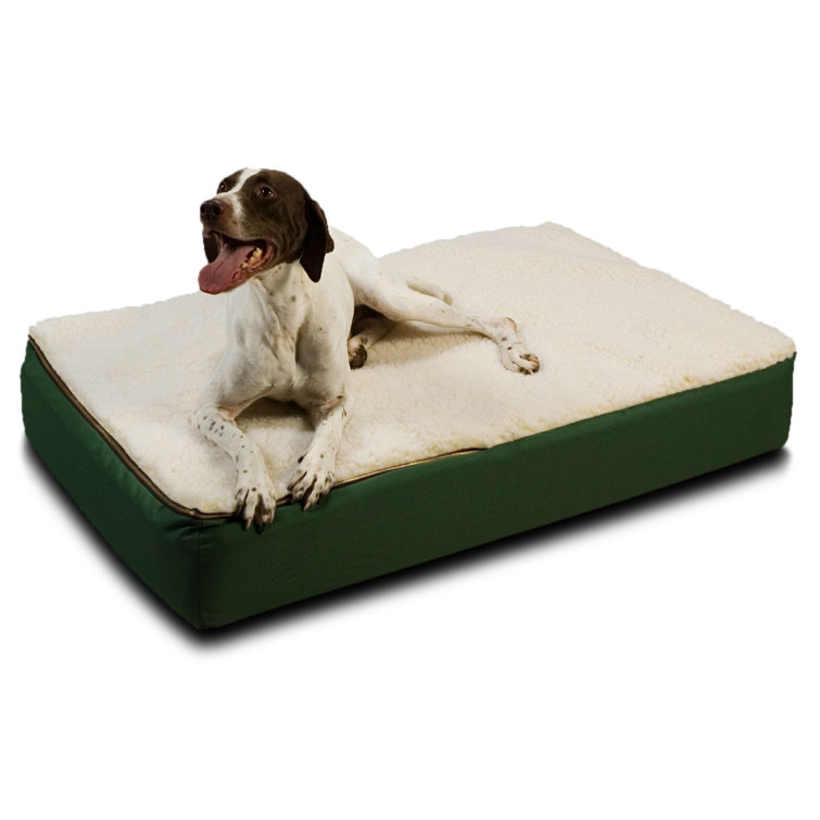 Medium Green Orthopedic Waterproof Dog Bed with Sherpa Top