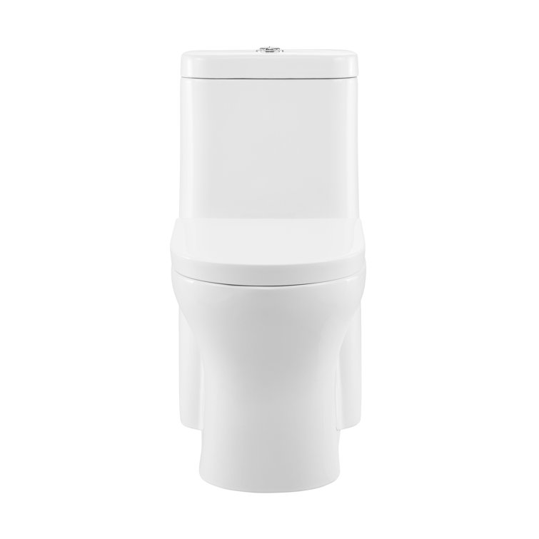 White Ceramic Elongated Dual Flush One-Piece Toilet